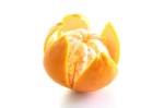 ff01a8738a34ea79386694714ad66b7a